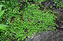 BUITEN BEELD Foto: 449376