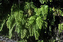 BUITEN BEELD Foto: 449379