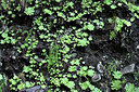 BUITEN BEELD Foto: 449392