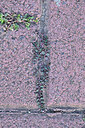 BUITEN BEELD Foto: 449395
