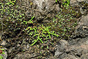 BUITEN BEELD Foto: 449399