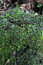 BUITEN BEELD Foto: 449400