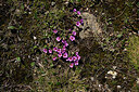 BUITEN BEELD Foto: 449401