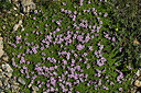 BUITEN BEELD Foto: 449404