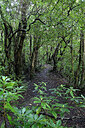 BUITEN BEELD Foto: 449406
