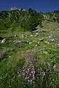 BUITEN BEELD Foto: 449410