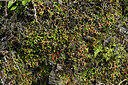 BUITEN BEELD Foto: 449414