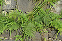 BUITEN BEELD Foto: 449418