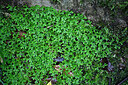 BUITEN BEELD Foto: 449419