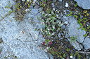 BUITEN BEELD Foto: 449420