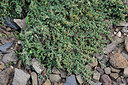 BUITEN BEELD Foto: 449422