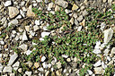 BUITEN BEELD Foto: 449425