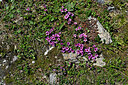 BUITEN BEELD Foto: 449433