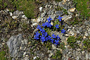BUITEN BEELD Foto: 449434
