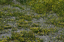 BUITEN BEELD Foto: 449435