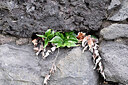 BUITEN BEELD Foto: 449437