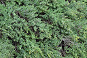 BUITEN BEELD Foto: 449440