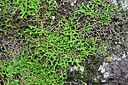 BUITEN BEELD Foto: 449443