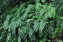 BUITEN BEELD Foto: 449446