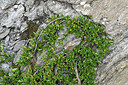 BUITEN BEELD Foto: 449447