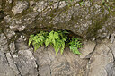 BUITEN BEELD Foto: 449451