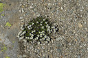 BUITEN BEELD Foto: 449455