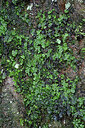 BUITEN BEELD Foto: 449457