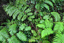 BUITEN BEELD Foto: 449461