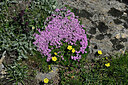 BUITEN BEELD Foto: 449464