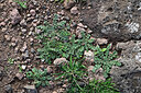 BUITEN BEELD Foto: 449467