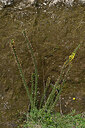BUITEN BEELD Foto: 449468