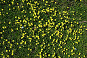 BUITEN BEELD Foto: 449469