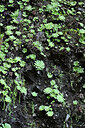 BUITEN BEELD Foto: 449473