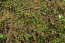 BUITEN BEELD Foto: 449481