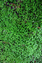 BUITEN BEELD Foto: 449483
