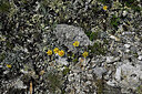 BUITEN BEELD Foto: 449486