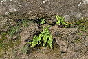 BUITEN BEELD Foto: 449487