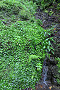 BUITEN BEELD Foto: 449493