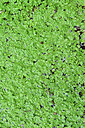 BUITEN BEELD Foto: 449499