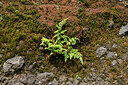 BUITEN BEELD Foto: 449500