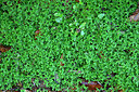 BUITEN BEELD Foto: 449503