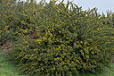 BUITEN BEELD Foto: 449504