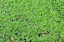 BUITEN BEELD Foto: 449507