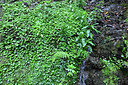 BUITEN BEELD Foto: 449510