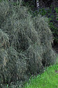 BUITEN BEELD Foto: 449511