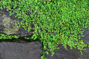 BUITEN BEELD Foto: 449514