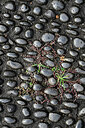 BUITEN BEELD Foto: 449519