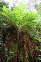 BUITEN BEELD Foto: 449524