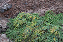 BUITEN BEELD Foto: 449529