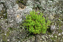 BUITEN BEELD Foto: 449530